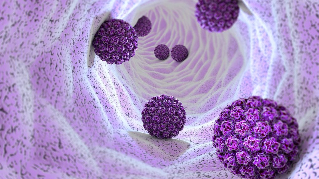 HPV infection may cause throat, mouth cancer 3D illustration of the human papillomavirus (HPV).