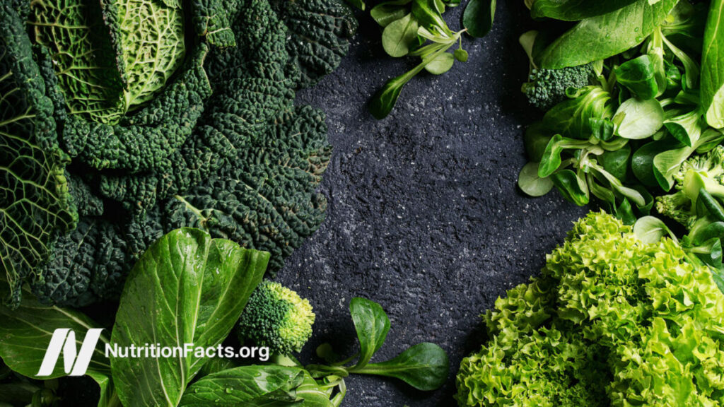 The Fat-Blocking and Appetite-Suppressing Effects of Thylakoids