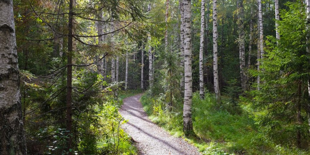 12-Hour World Record Set By Finnish Runner