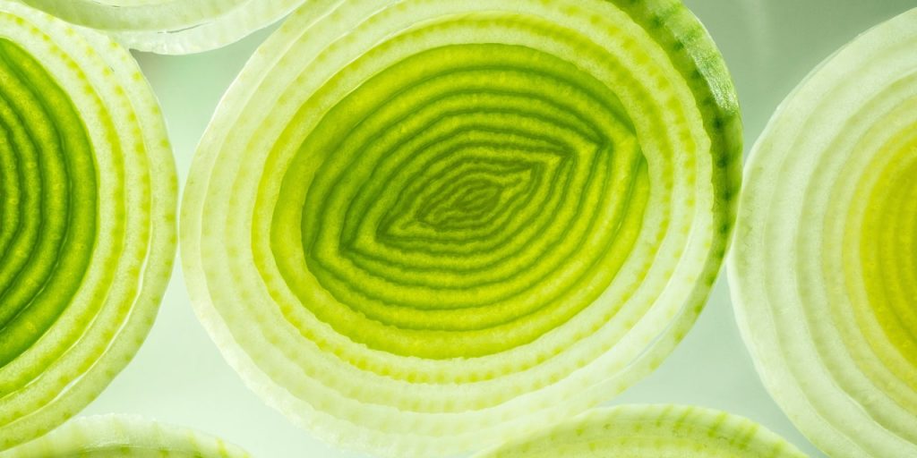 How to Cook Leeks: Cutting, Preparation, and Storage Tips