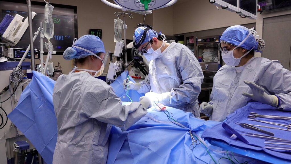 Mayo Clinic Minute: How vagus nerve stimulation can help some patients improve their recovery after stroke Mayo Clinic Minute: How vagus nerve stimulation can help some patients improve their recovery after stroke