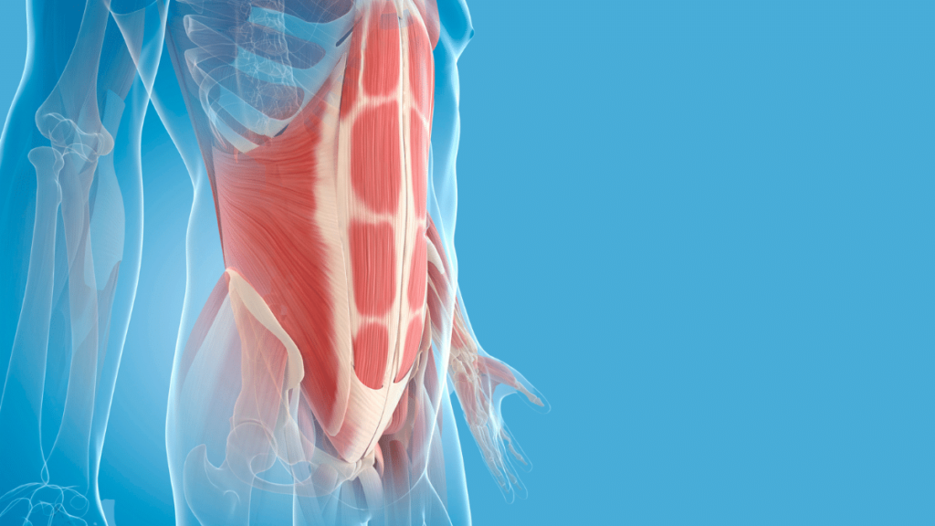 The Comprehensive Core Training Guide