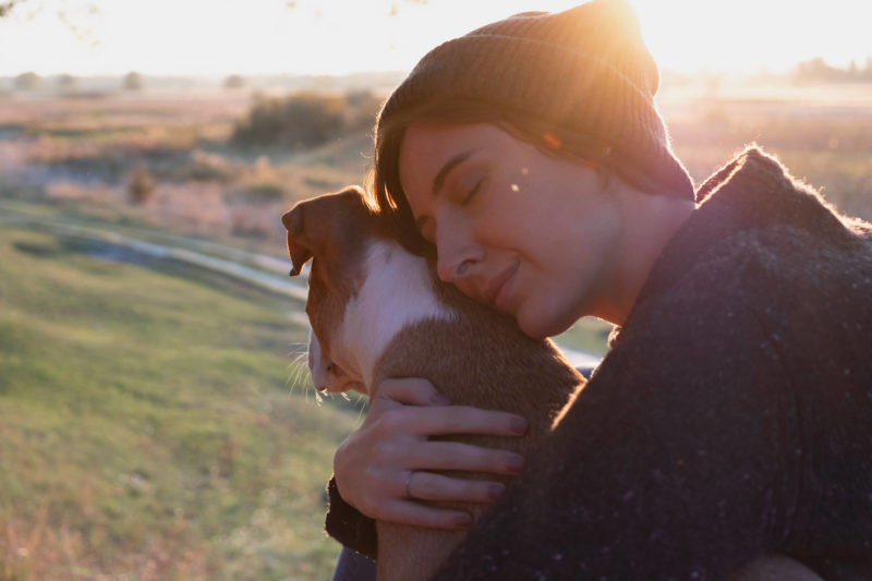 The Power of Pets in Therapy The Power of Pets in Therapy