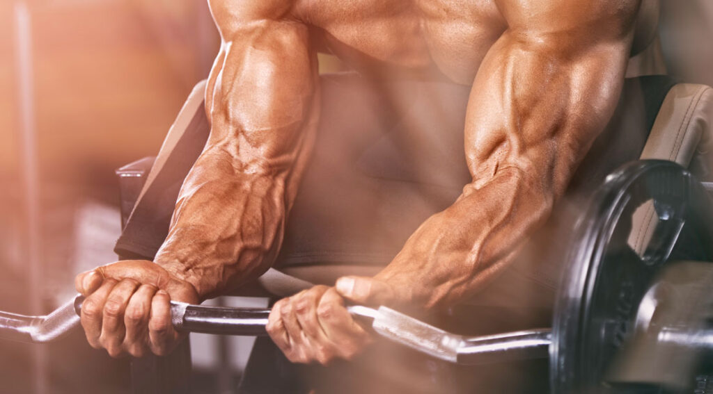 Top 4 Forearm Exercises To Build Arm Strength