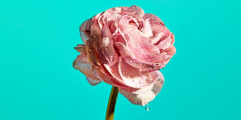 Why Does My Pee Smell? 13 Common Causes Of Smelly Urine