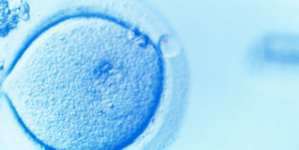 Women Can Freeze Their Eggs For Free With New Donation Programs