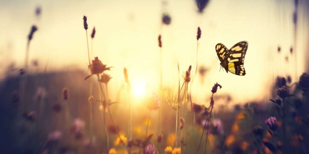 How Advocating for Myself Helped me Navigate Life with Achondroplasia - The Mighty