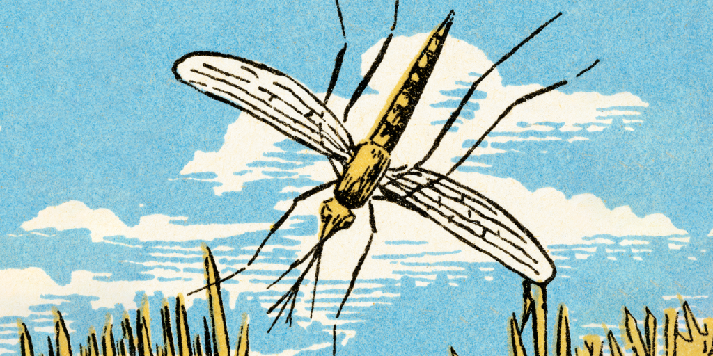 How to Actually Prevent Mosquito Bites, According to Experts