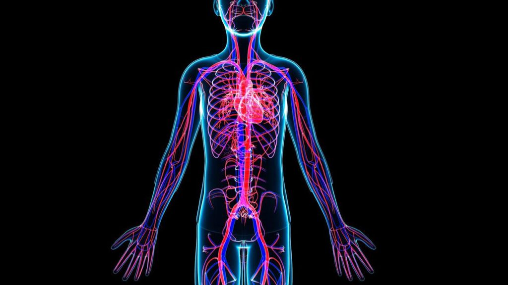 Mayo Clinic Minute: How vasculitis affects the body