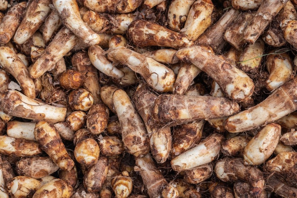 Taro Root: Nutritional Profile, Benefits- HealthifyMe