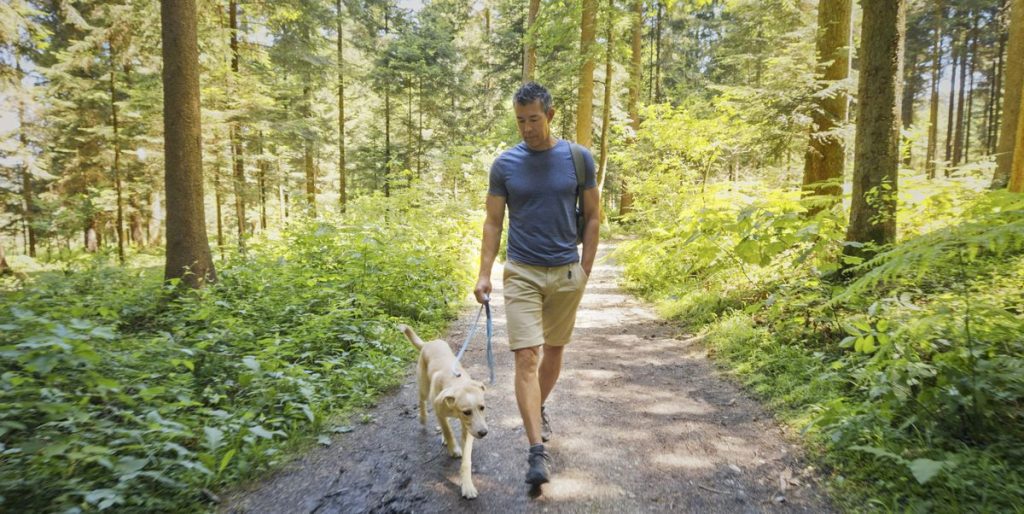 How to Increase HDL Cholesterol: Tips, Health Benefits