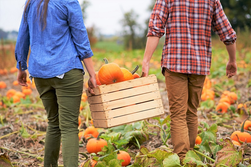 5 Fall Activities to Burn Calories 5 Fall Activities to Burn Calories