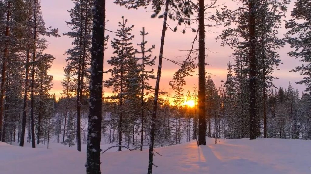 Mayo Clinic Minute: Do you need more vitamin D in the winter?