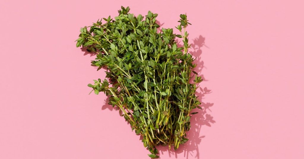 How to Get Rid of Mosquito Bites Overnight