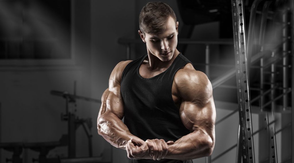 6-Week Plan to Hypertrophy Workout Program