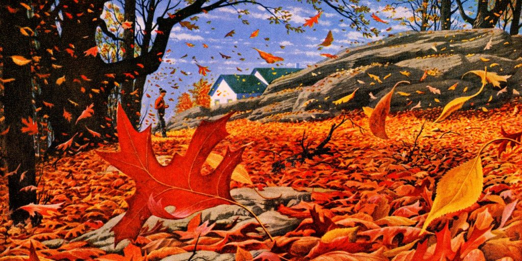 How to Turn a Boring Long Run Into an Invigorating Celebration of the Outdoors