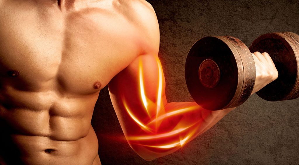 Best Anatomy-Based Bicep Exercises and Grips for Muscular Development