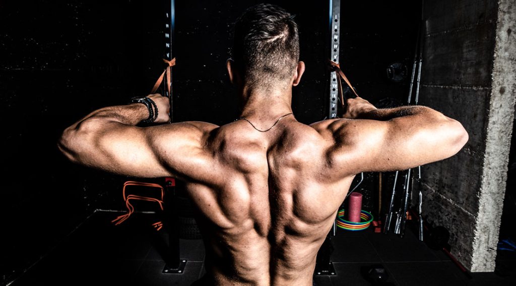 The 4 Expert Designed Pull Day Workouts To Build a Thicker Back