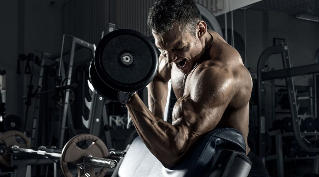 Best 12 Biceps Exercises Ranked: Build Bigger and Stronger Arms