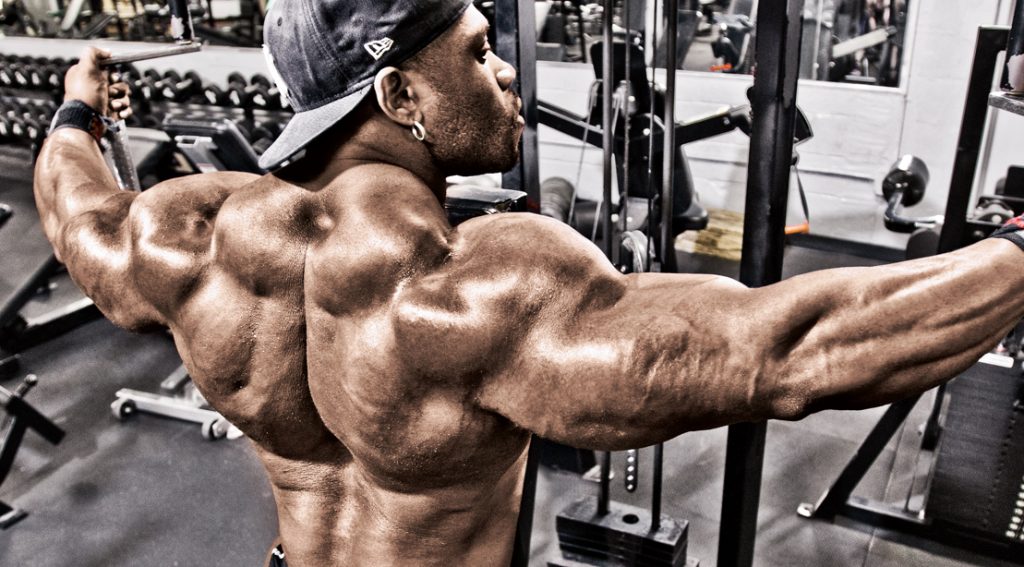 How Far Should You Pull Back on the Rear Delt Fly?
