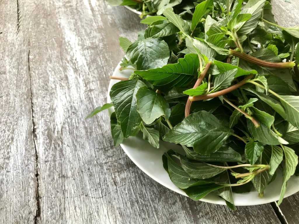 11 Lesser Known Indian Leafy Vegetables