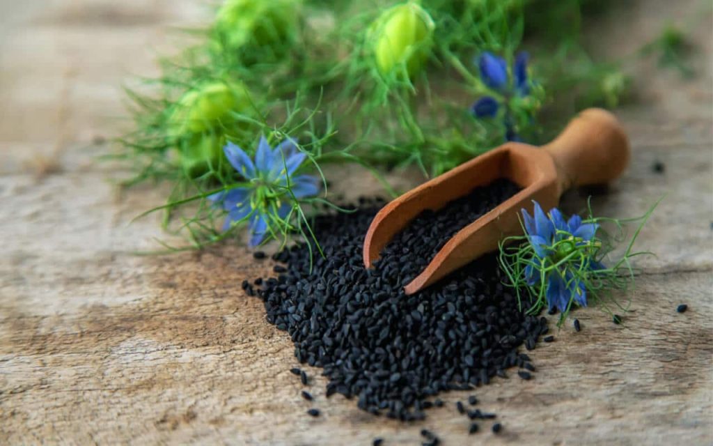 Kalonji Seeds - Benefits, Nutrition, & Recipes