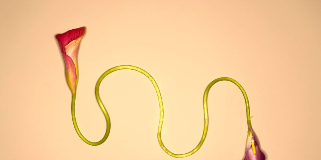 The 30-Minute Screening That Could Add Years to Your Life