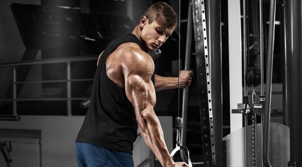 The Triceps Training Guide for Sleeve-Stretching Size and Lockout Strength